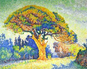 The Pine Tree at St. Tropez, 1909